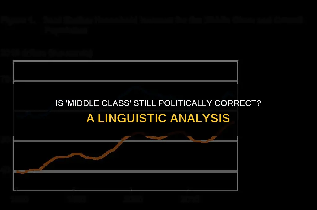 is saying middle class politically correct