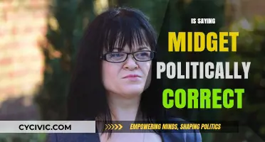 Exploring Political Correctness: The Term 'Midget' in Modern Language