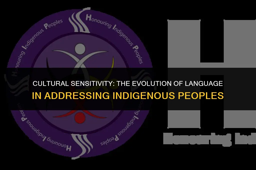 is saying native american politically correct