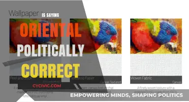 Cultural Sensitivity: The Evolution of Language and Political Correctness