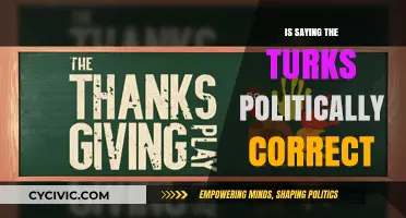 Navigating Political Correctness: A Discussion on Turkish Sensibilities