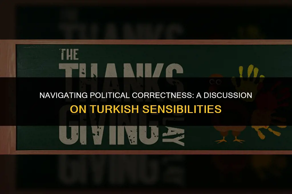 is saying the turks politically correct