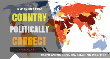 Navigating Political Correctness: The Term 'Third World Country