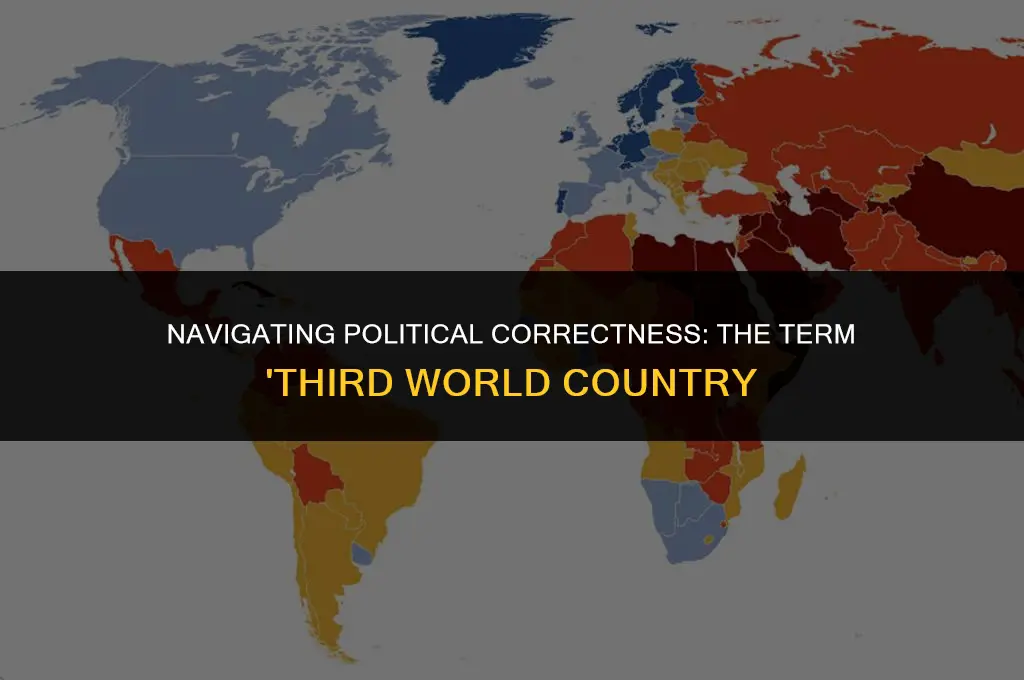 is saying third world country politically correct