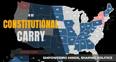 South Carolina's Constitutional Carry: What You Need to Know