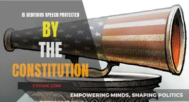 Seditious Speech: Protected or Prohibited by the Constitution?