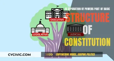 Separation of Powers: Constitution's Basic Structure?