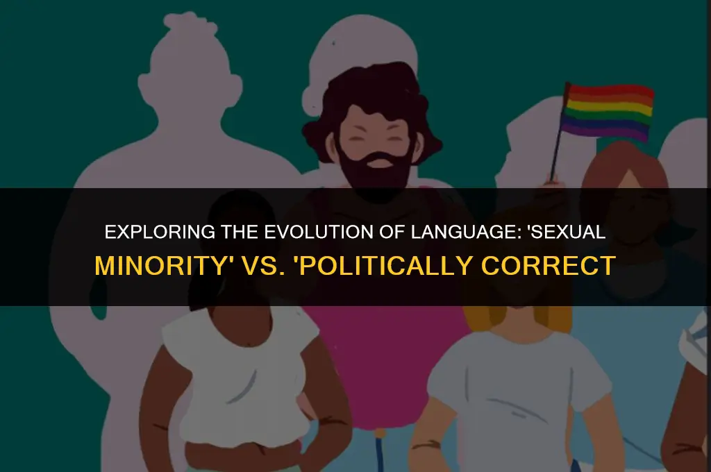 is sexual minority politically correct