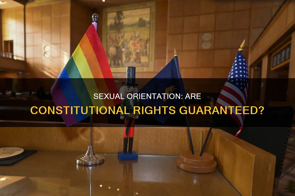 is sexual orientation protected inder constitution