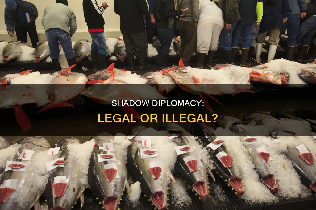 is shadow diplomacy illegal