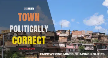 Exploring the Term 'Shanty Town': Politically Correct or Not?