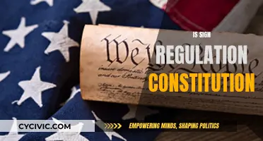 Sign Regulation: Free Speech or Government Control?