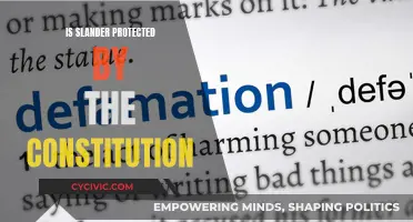 Slander, Free Speech, and the Constitution: What's Protected?