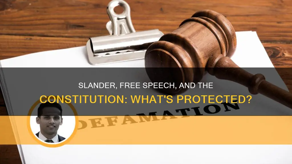 is slander protected by the constitution