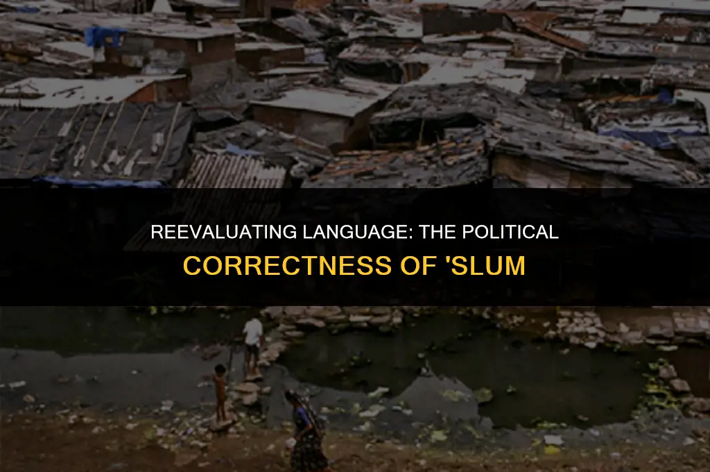 is slum politically correct