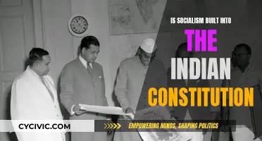 Socialism in India's Constitution: A Fundamental Principle?