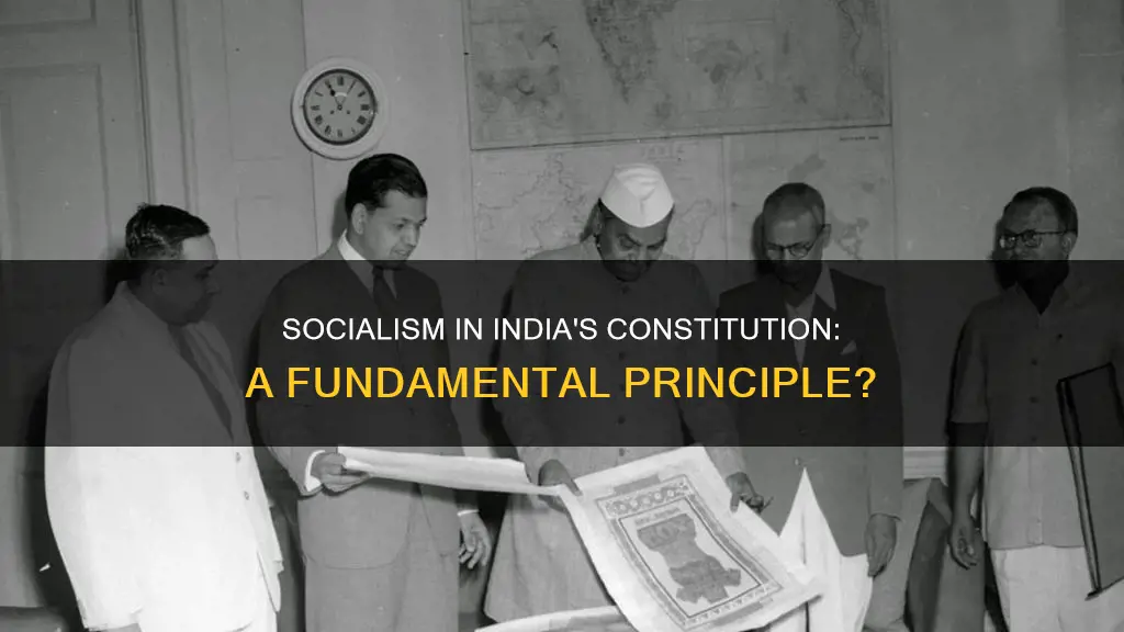 is socialism built into the indian constitution