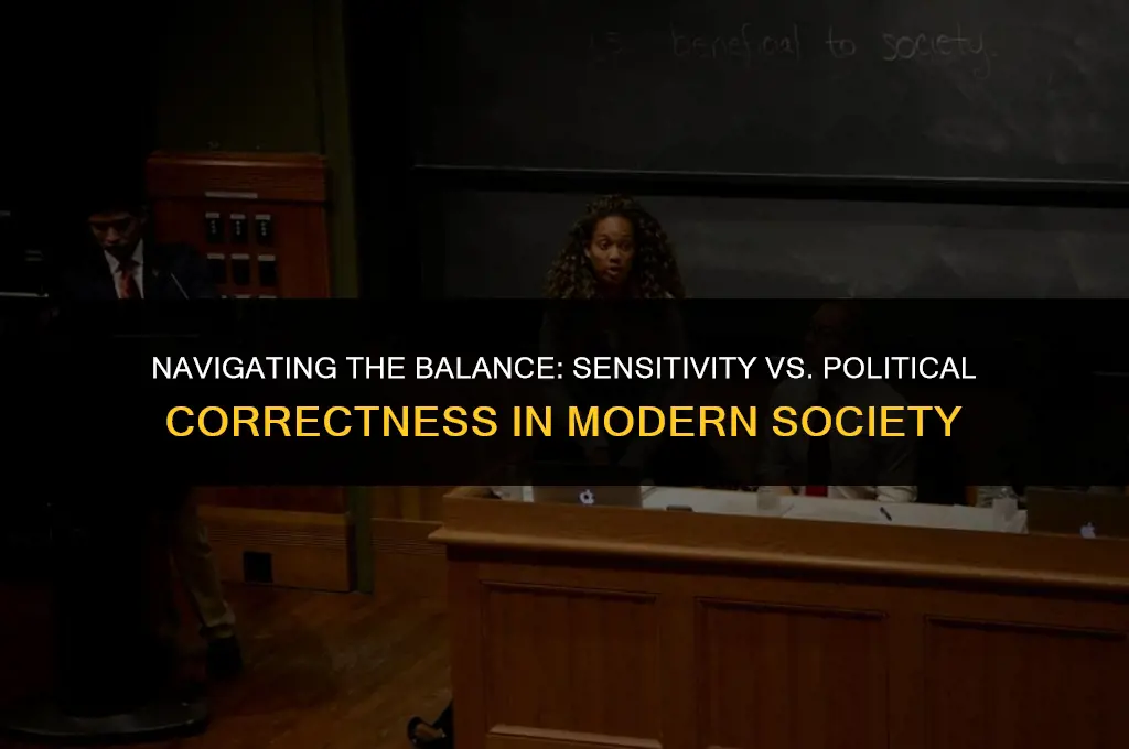 is society too concerned with being sensitive or politically correct