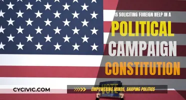 Foreign Political Help: Constitutional or Not?
