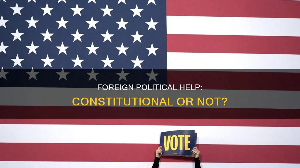 is soliciting foreign help in a political campaign constitutional