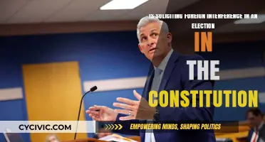 Foreign Election Interference: Is It Constitutional?