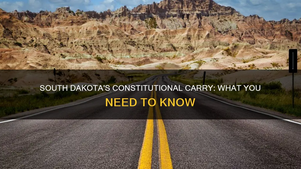 is south dakota constitutional carry