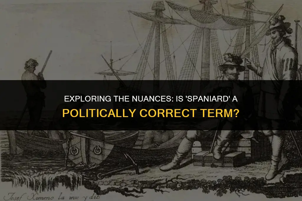 is spaniard politically correct