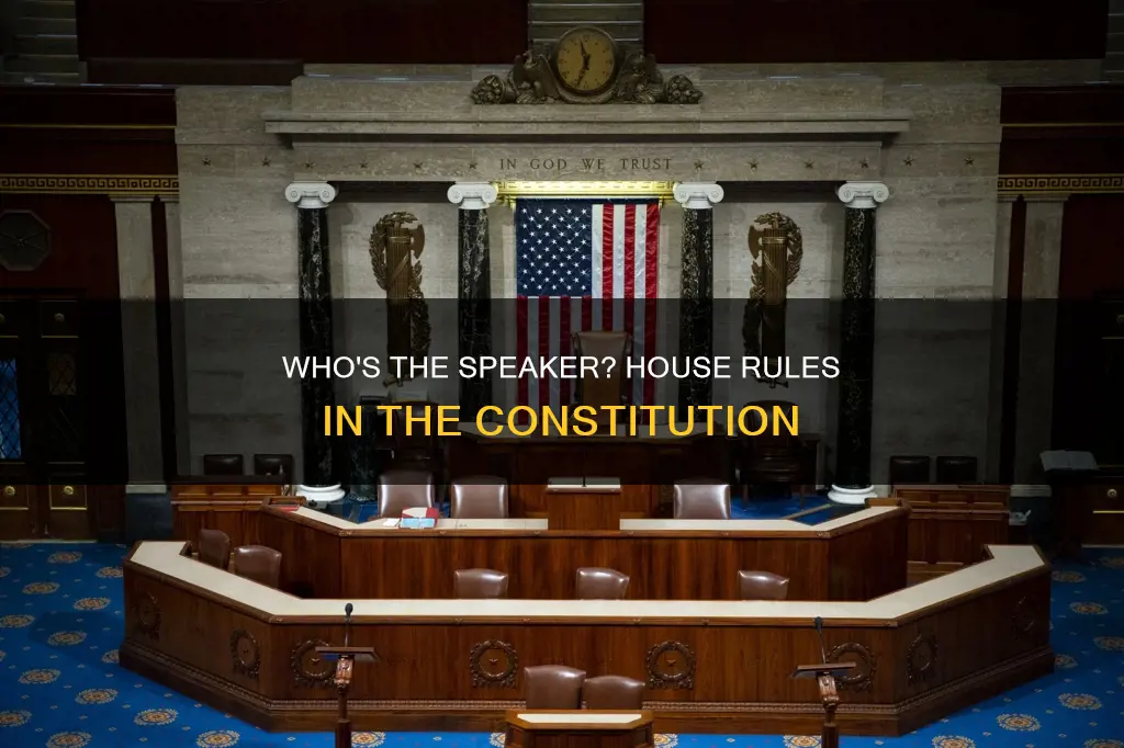 is speaker of the house in the constitution