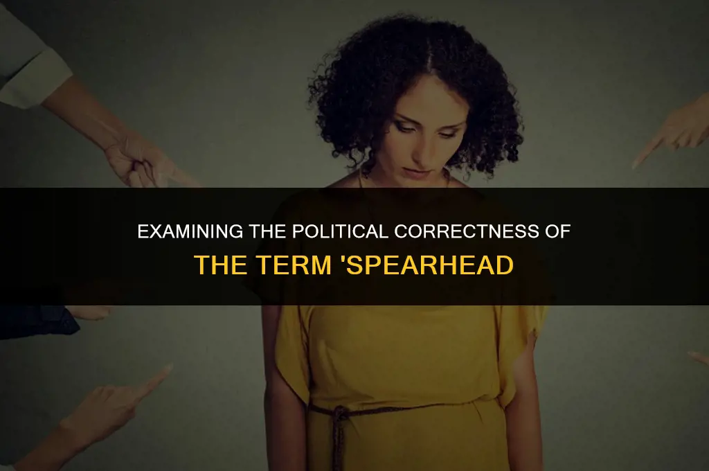 is spearhead politically correct