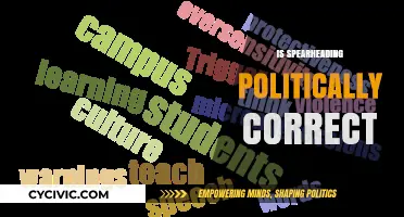 Navigating the Nuances of Political Correctness: A Comprehensive Guide