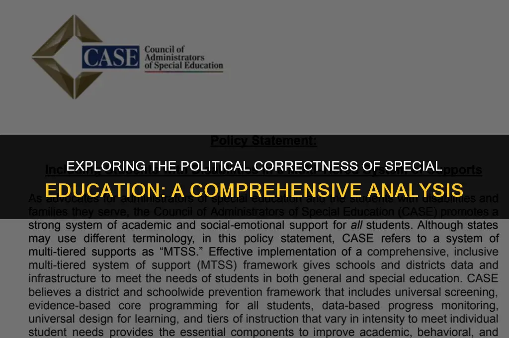 is special school politically correct