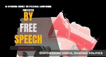 Money and Politics: Free Speech or Influence?