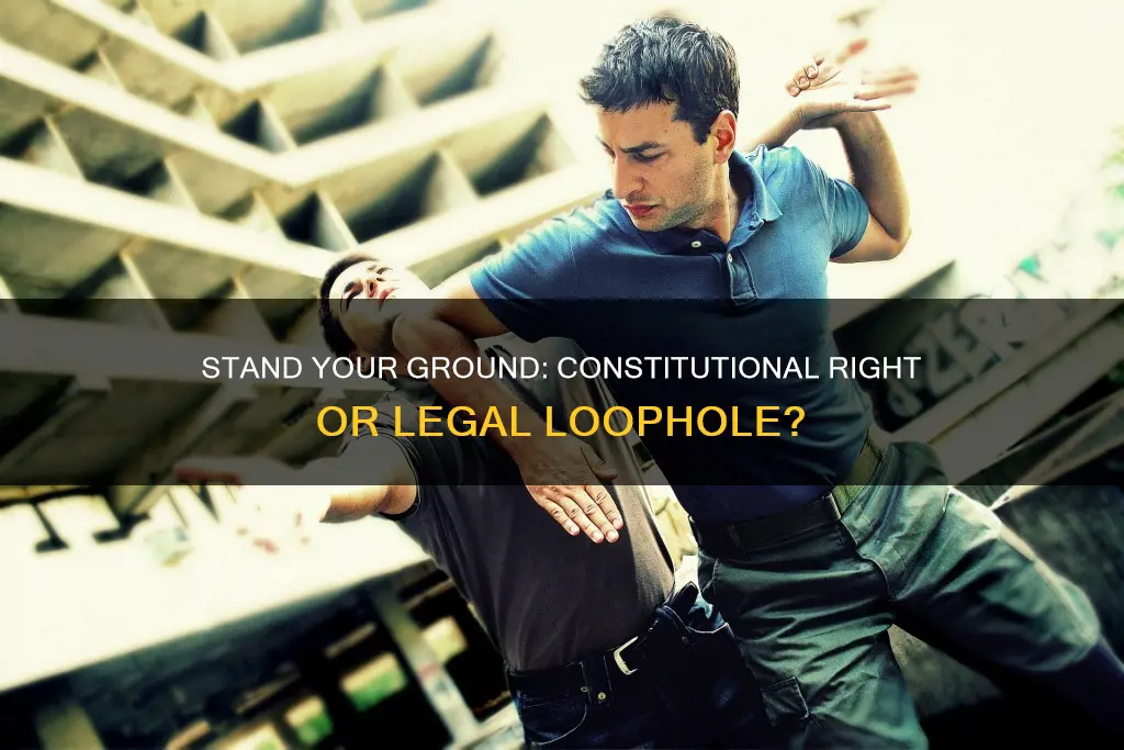is stand you ground protected by the constitution