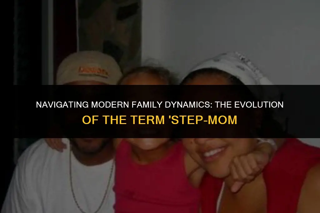is step-moms politically correct term