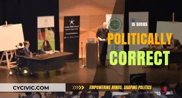Navigating the Minefield: Political Correctness in Modern Discourse