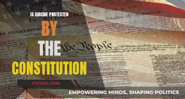 Suicide, Constitution, and the Right to Die