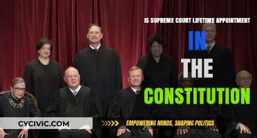 Lifetime Appointment: Supreme Court's Constitutional Conundrum