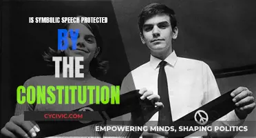 Symbolic Speech: Protected by the Constitution?