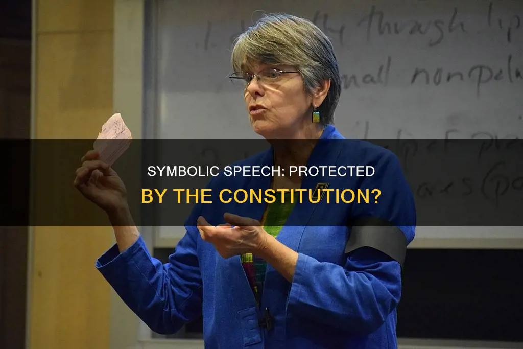 is symbolic speech protected by the constitution