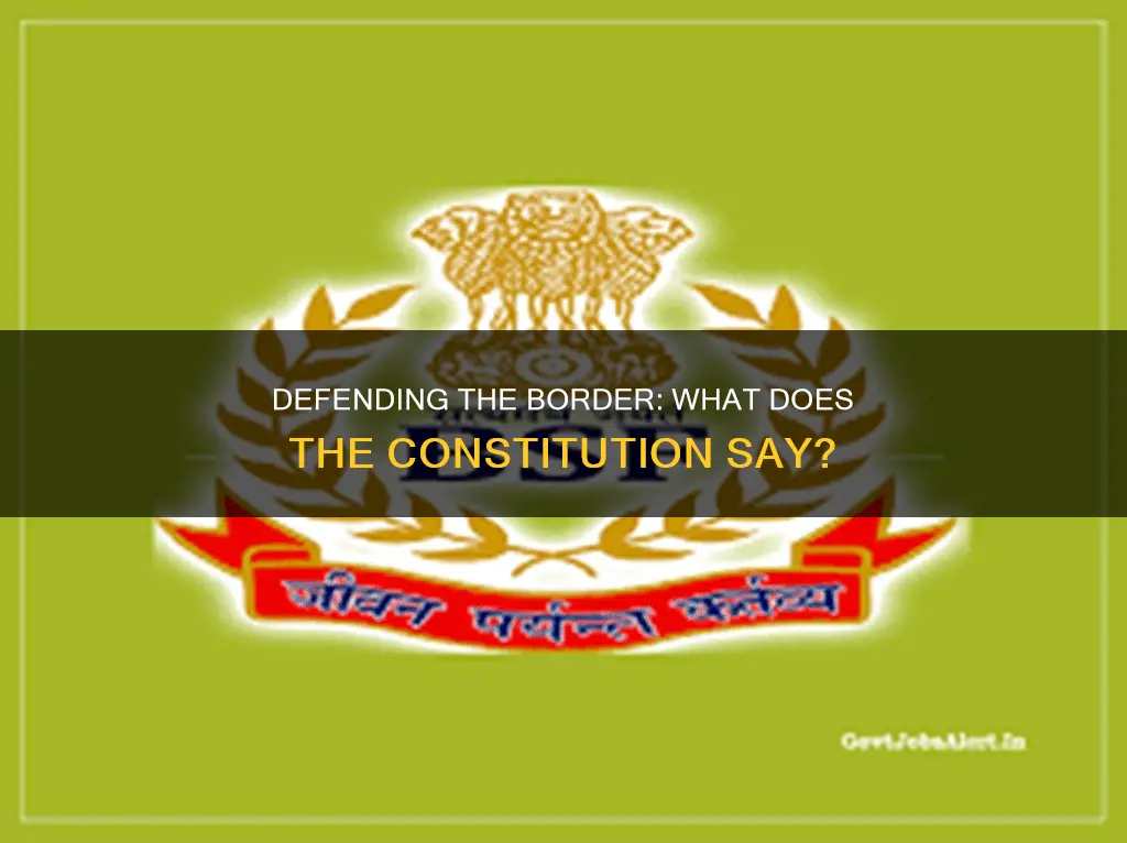 is tbere anything in the constitution about defending the border