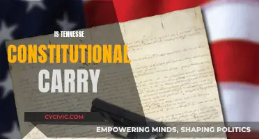 Tennessee's Constitutional Carry: What Does it Mean?