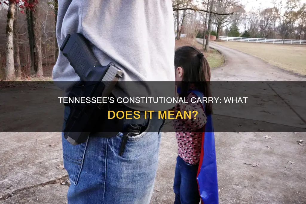 is tennesse constitutional carry