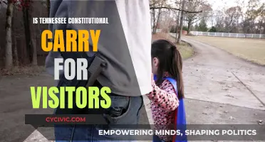 Tennessee's Constitutional Carry Law: What Visitors Should Know