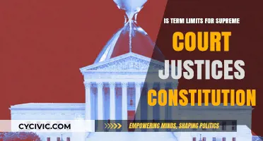 Term Limits for Supreme Court Justices: Constitutional?