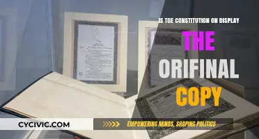 The Constitution: Is the Displayed Copy Authentic?