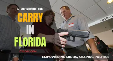 Florida's Constitutional Carry: Understanding the Law and Your Rights
