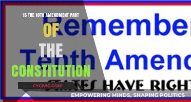 The Tenth Amendment: A Constitutional Cornerstone