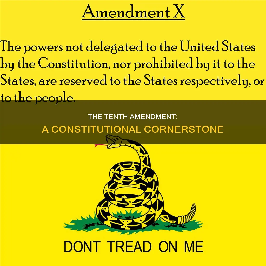 is the 10th amendment part of the constitution
