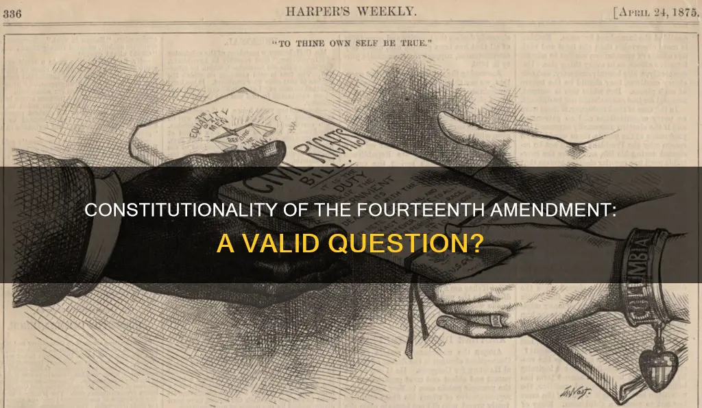 is the 14th amendment constitutional