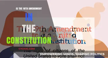 Constitutional Amendment: The 19th Amendment Explored